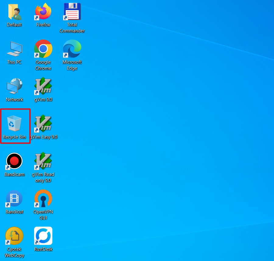 Recycle Bin icon on the Windows desktop